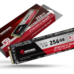 SSD M.2  NVME 256GB KEEPDATA SATA 3 KDM256G-J12 500/320 MB/s